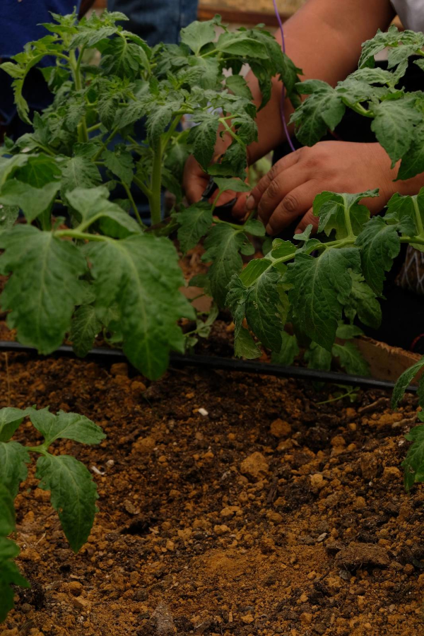 AGROECOLOGÍA
